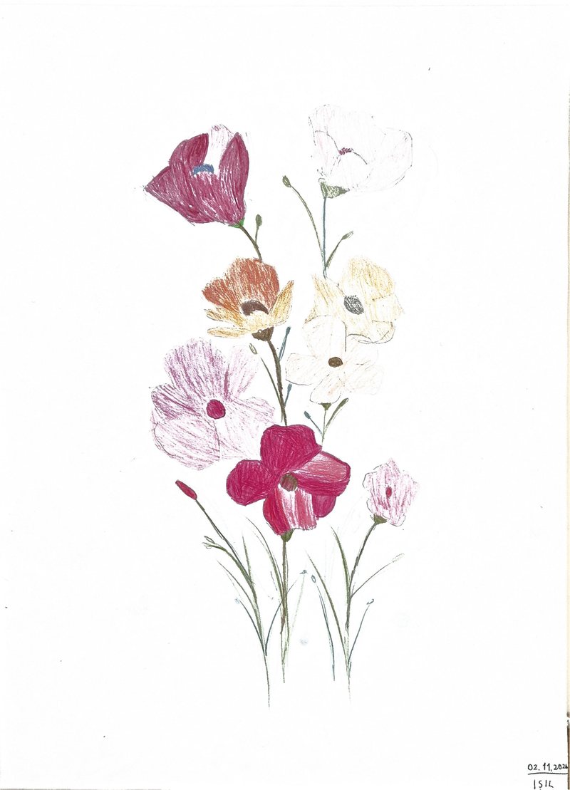 A delicate watercolour study of wildflowers — poppies and cosmos in magenta, peach and cream — on bare paper.